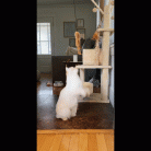 074b4b502d97c3d020687a9efc75117f.gif