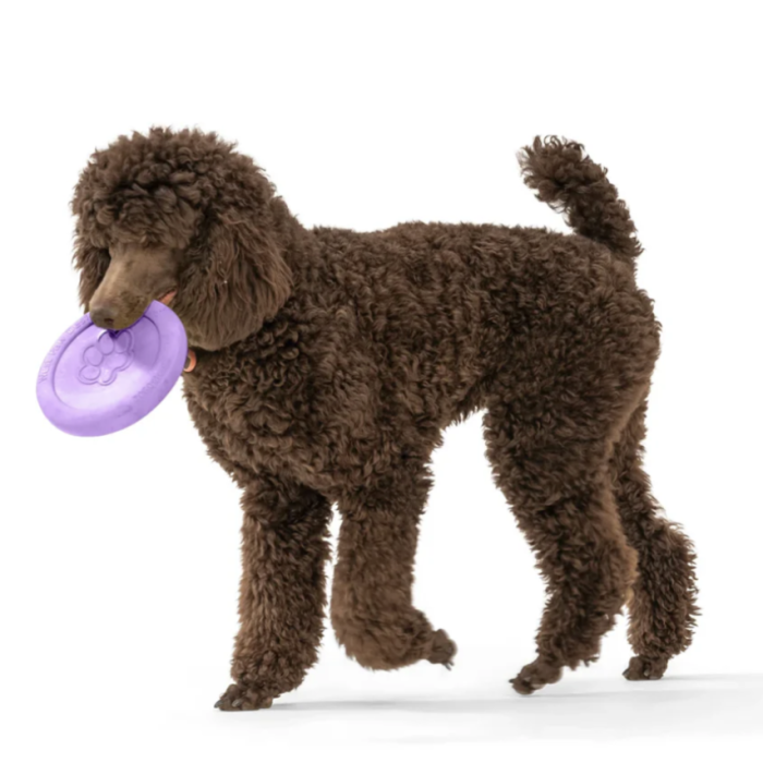 091b764afb5be7219b5b00fe0c3018cd.png