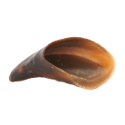 1f0caa7b2d926500eeb2fbcdb6ba4962.png