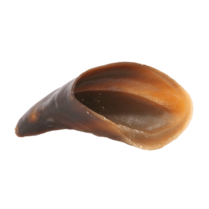 1f0caa7b2d926500eeb2fbcdb6ba4962.png
