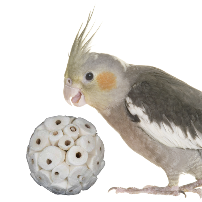 359bb44b187afebd7048ceec3fc49bf8.png
