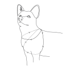 4176610b97518ee0e1abb0012d4cbcfd.png