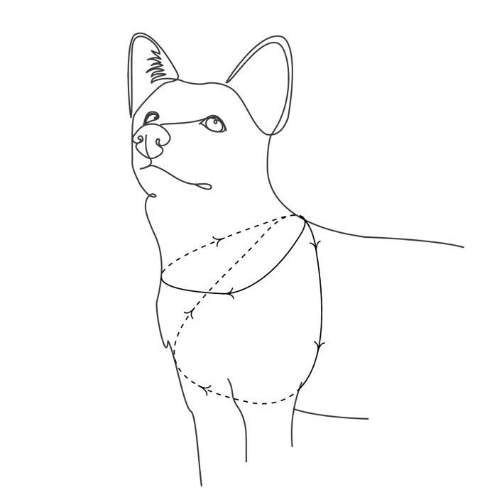 4176610b97518ee0e1abb0012d4cbcfd.png