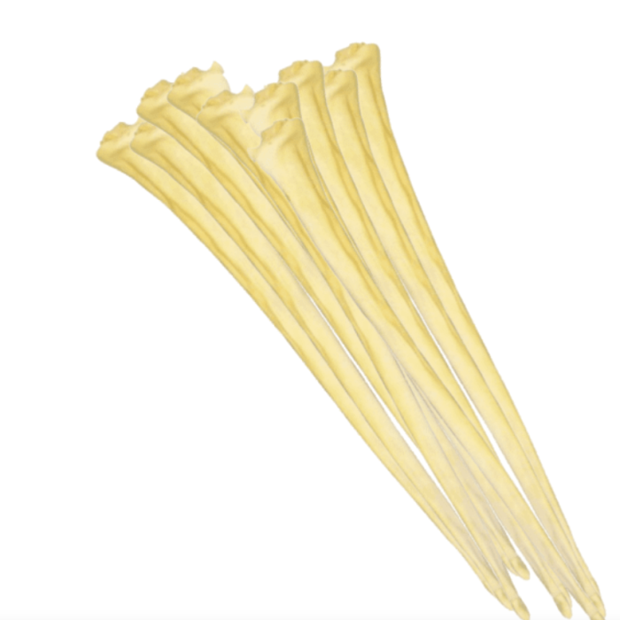 6b3703979e9cf6591092b3329e8c322e.png
