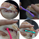 7cc213d1f26d981e55d10ded04c549b8.png