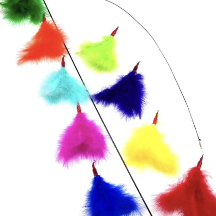 889d1d2d21458bbafdc6796889a00efb.png