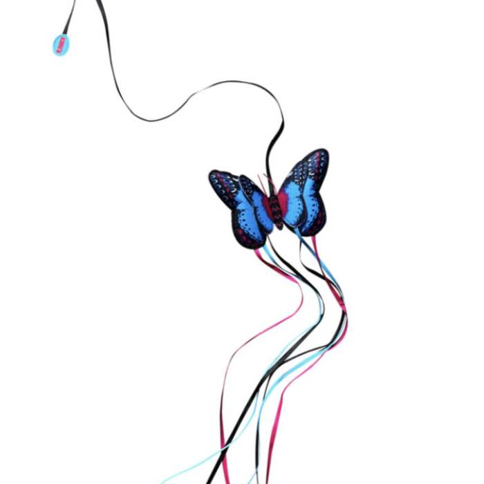 c95ebba27975049151f087e5195e40b2.png