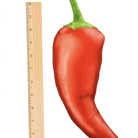 d6bdc866bb974b0befa0f66b590f21dc.png