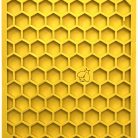 d86ce3d9add4610a391e5ba83ca38f7b.jpg