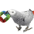 ff071cfe79a759e870cf0266d0f013b6.png