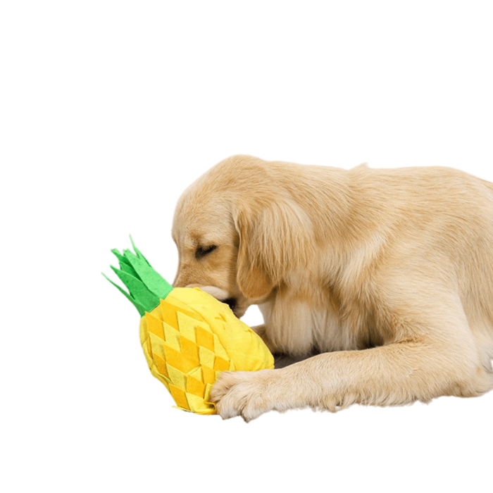 1eff2e888e975629d00b25b86174e76e.png
