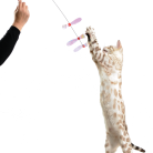 e43e6a310a4e40fc4bc6c8d4a1111a27.png